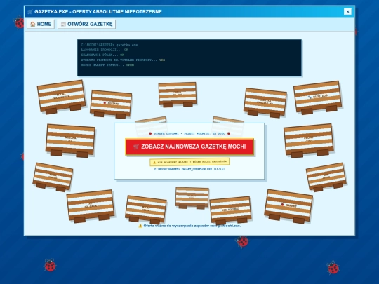 gazetka screenshot