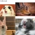 yawning_bunnies.neocities.org avatar