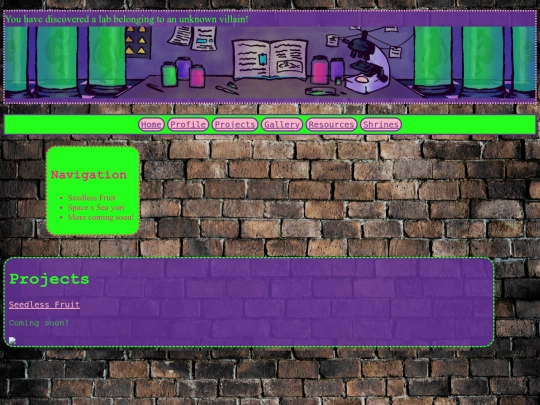 projects screenshot