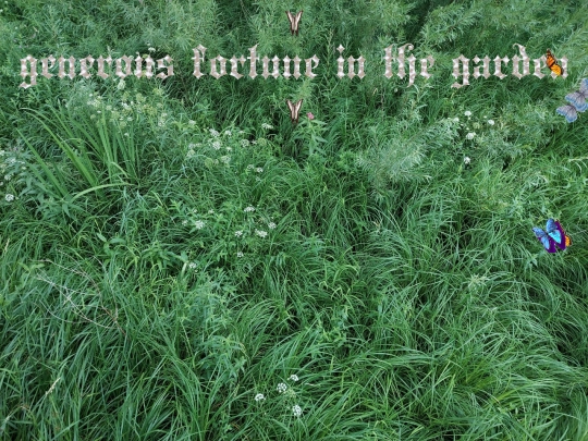 garden screenshot