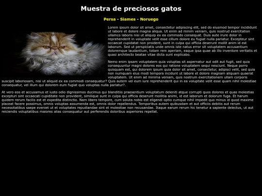 Examen22index screenshot
