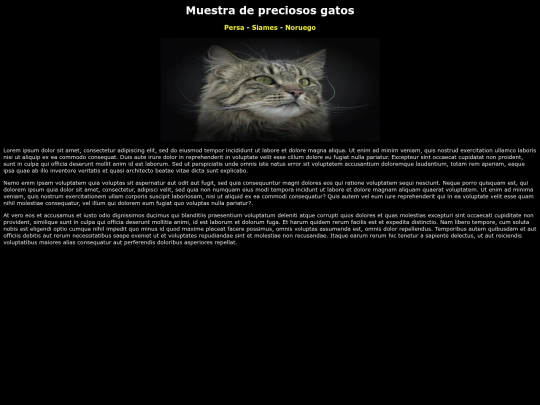noruego screenshot
