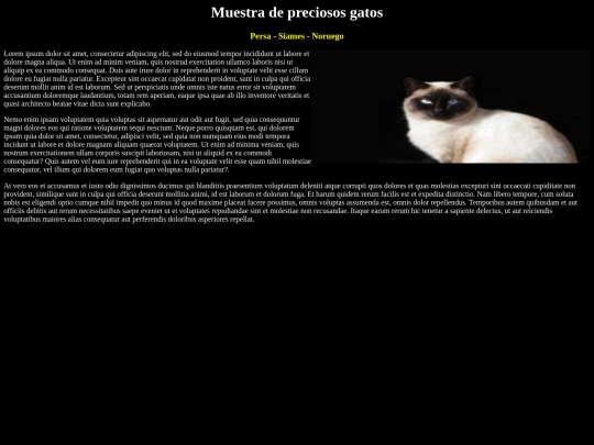 siames screenshot