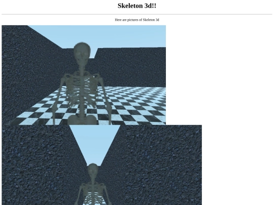 skeleton screenshot