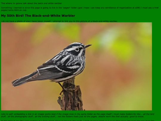 birds/bwwarbler screenshot