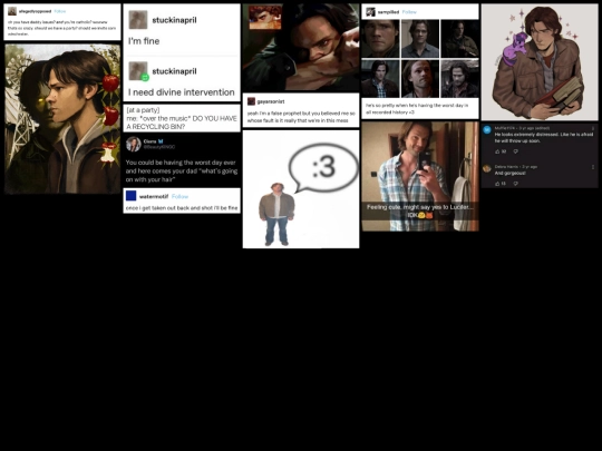 webweave/sam screenshot