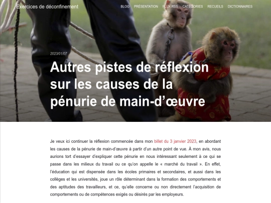 autres-pistes-de-reflexion-sur-les-causes-de-la-penurie-de-main-doeuvre screenshot