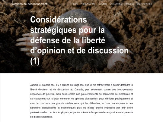 considerations-strategiques-pour-la-defense-de-la-liberte-dopinion-et-de-discussion-1 screenshot