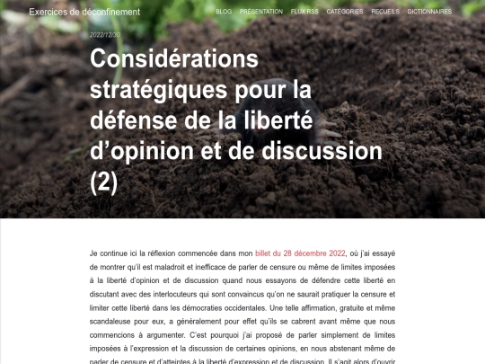 considerations-strategiques-pour-la-defense-de-la-liberte-dopinion-et-de-discussion-2 screenshot