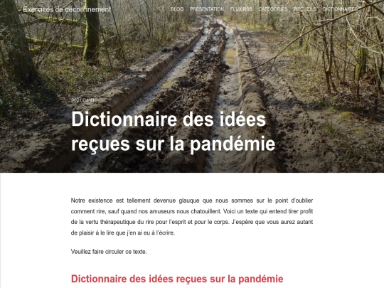 dictionnaire-des-idees-recues-sur-la-pandemie screenshot