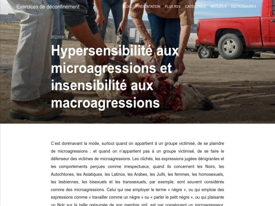 hypersensibilite-aux-microagressions-et-insensibilite-aux-macroagressions screenshot