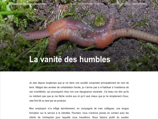 la-vanite-des-humbles screenshot