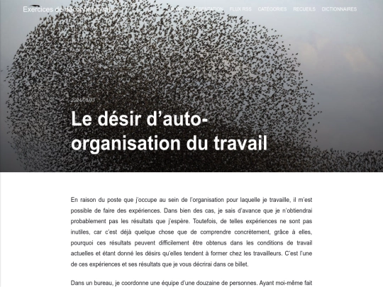 le-desir-dauto-organisation-du-travail screenshot