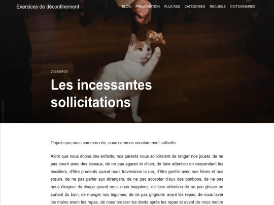 les-incessantes-sollicitations screenshot