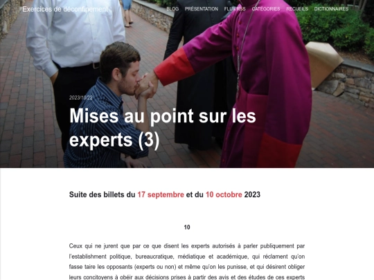 mises-au-point-sur-les-experts-3 screenshot