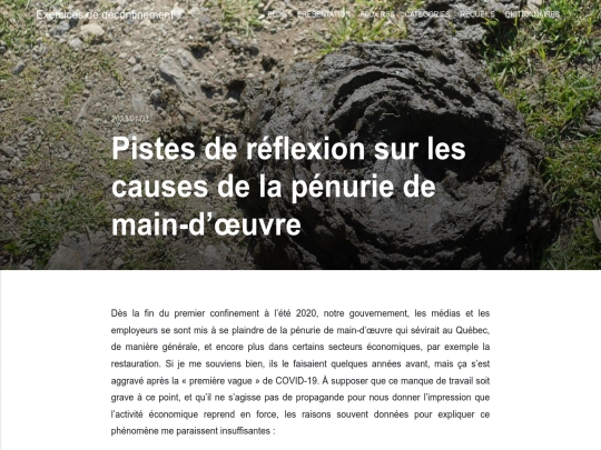 pistes-de-reflexion-sur-les-causes-de-la-penurie-de-main-doeuvre screenshot