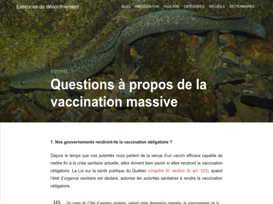 questions-a-propos-de-la-vaccination-massive screenshot