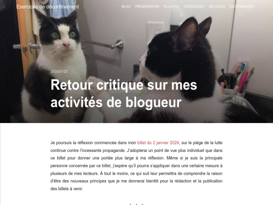 retour-critique-sur-mes-activites-de-blogueur screenshot