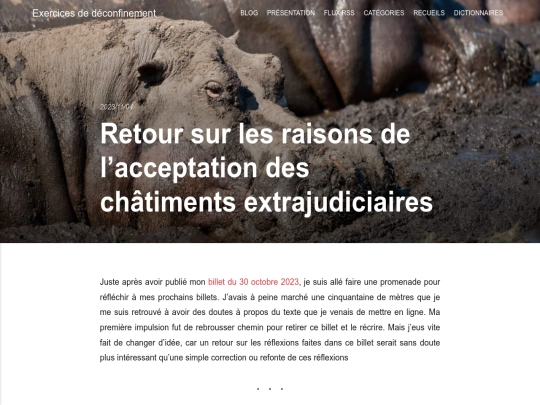 retour-sur-les-raisons-de-lacceptation-des-chatiments-extrajudiciaires screenshot