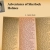 Sherlock Holmes avatar