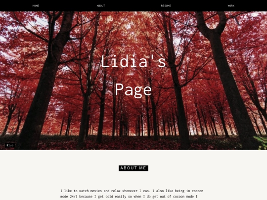 Portfolio screenshot