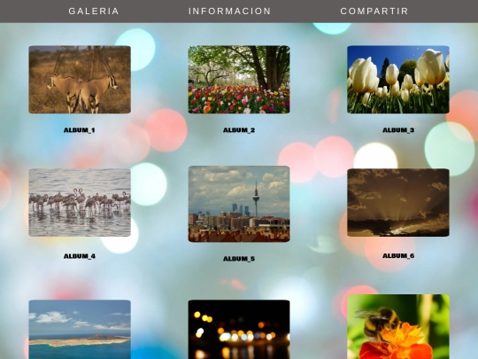 Galeria screenshot