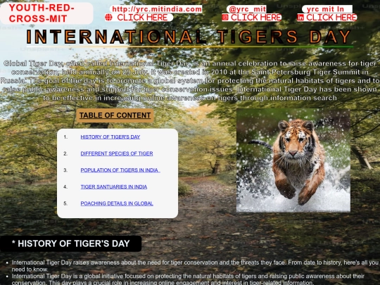 yrc/tigers day screenshot