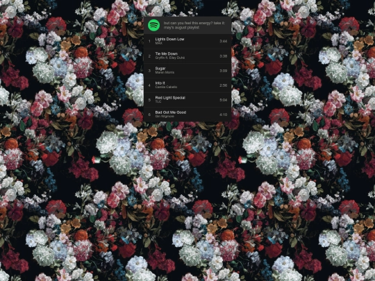 spotify5 screenshot