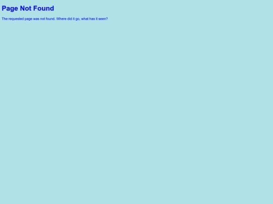 not_found screenshot