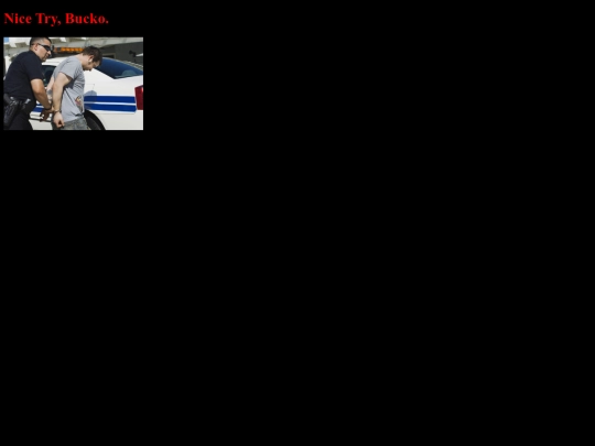 blog/bomb screenshot