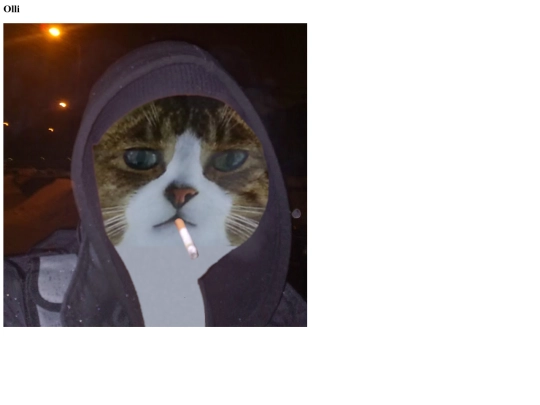 olli screenshot