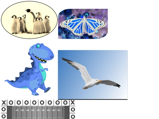 ImitationAssignment screenshot