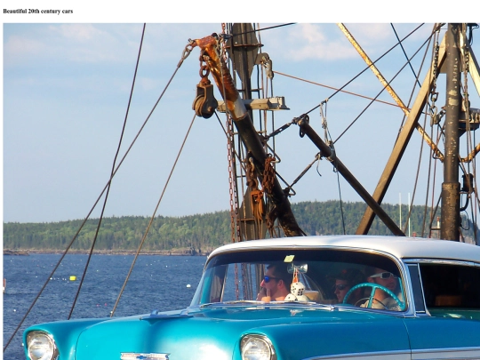StarterGalleryAssignment screenshot