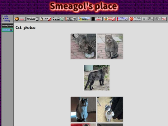 misc/cats screenshot