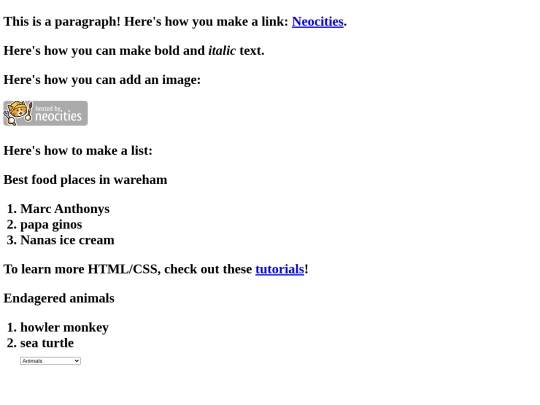 index screenshot