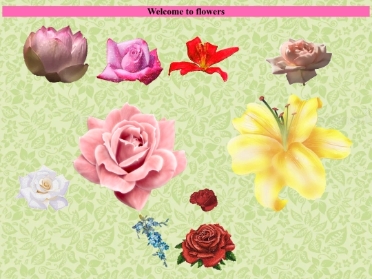 flower screenshot