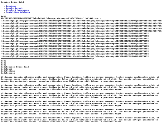 webfontkit-20230803-133855/courierprime-bold-demo screenshot