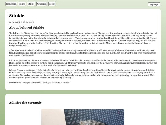 en/stinkie screenshot
