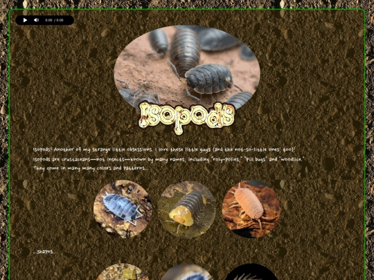 shrines/isopods screenshot