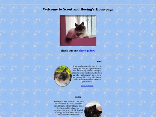cats screenshot