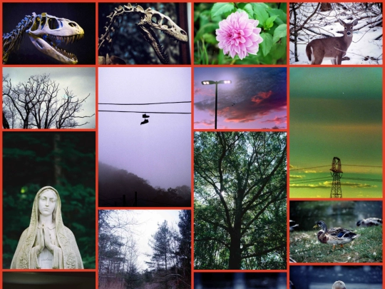Photography/Film screenshot