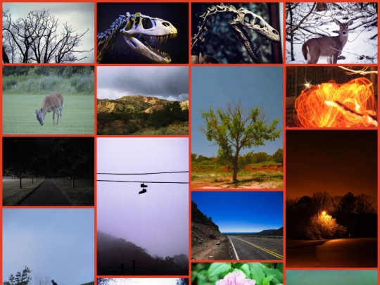 Photography/PhotosInternal screenshot