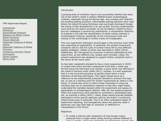 TPW-experiment-report screenshot
