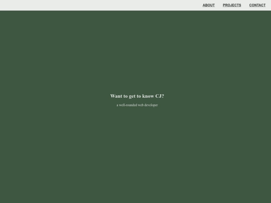 portfolio-page screenshot