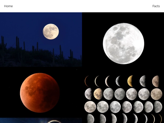 Moons screenshot