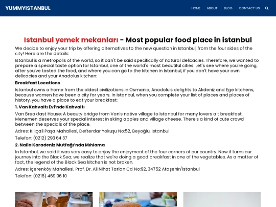 blog screenshot