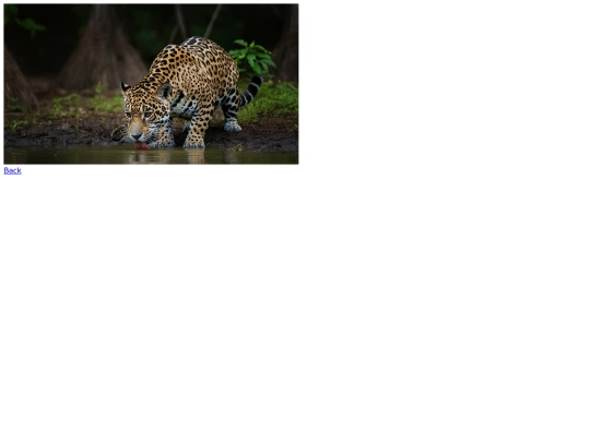 deal_first/Jaguar screenshot
