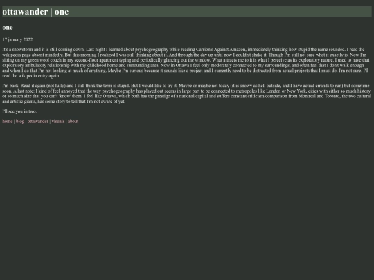 ottawander/1 screenshot