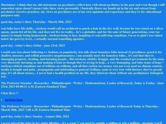 written-diary screenshot