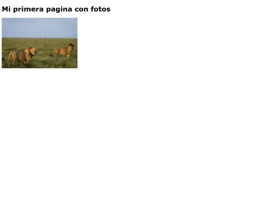 Imagenes/imagenes screenshot